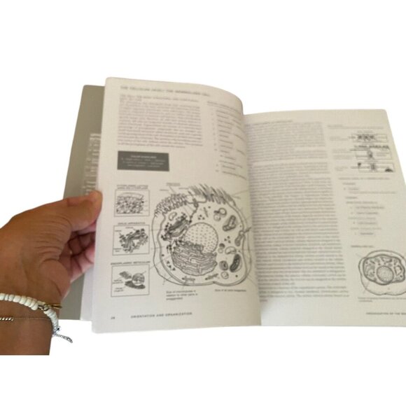 New McMurtries Human Anatomy Coloring Book 3rd Edition With 1000+ Illustrations - Picture 11 of 13